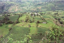 Practicas de conservacion de suelos